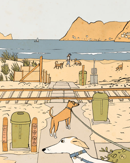 Daily Drawing - Glencairn Beach