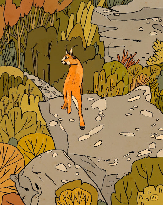 Daily Drawing - Caracal