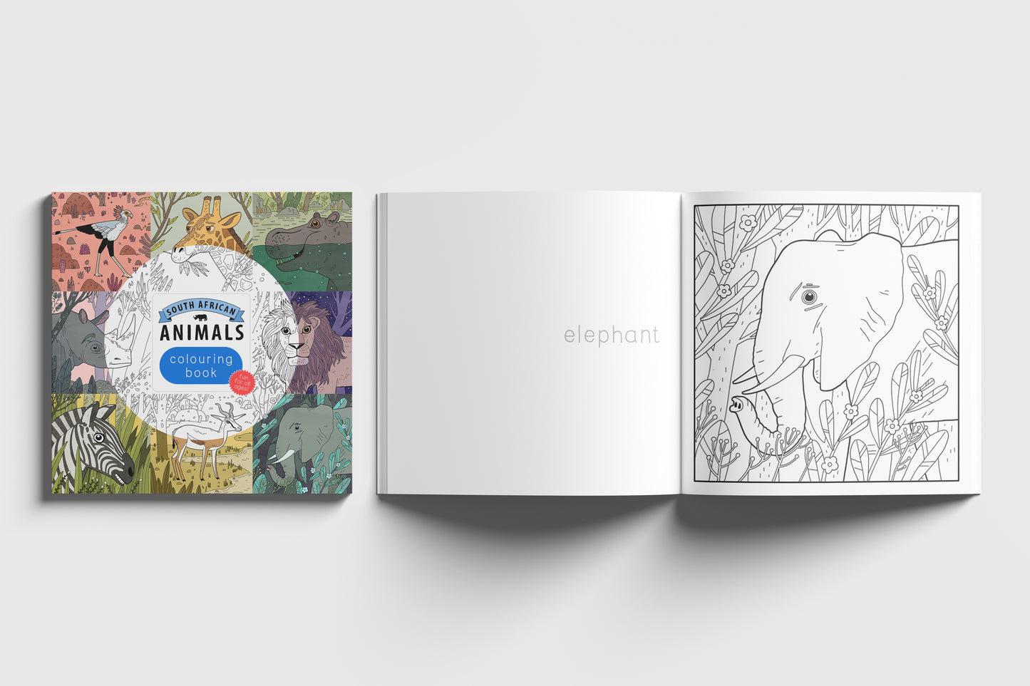 South African Animals Colouring Book