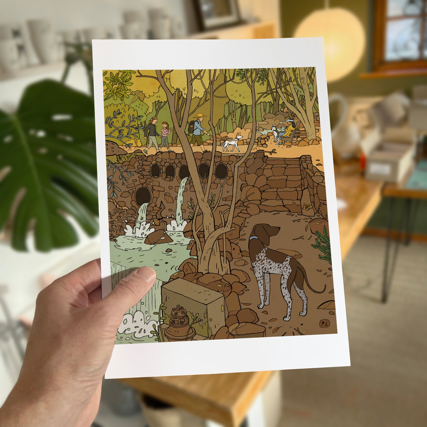Daily Drawing - Newlands Forest Waterfall