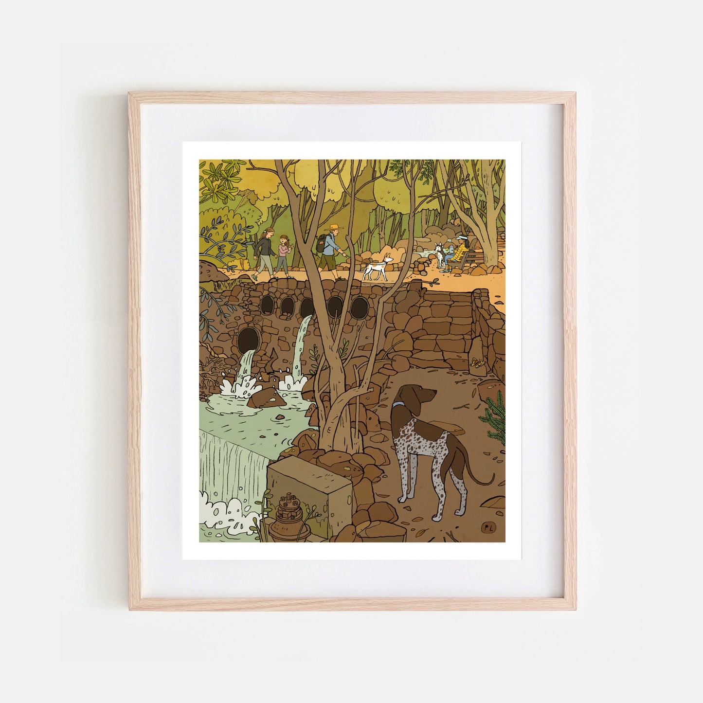 Daily Drawing - Newlands Forest Waterfall