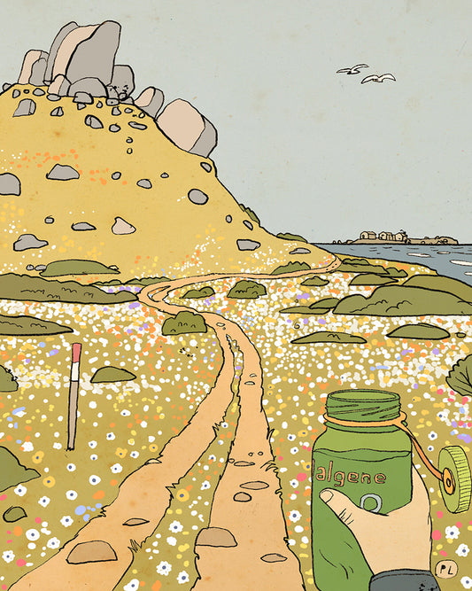 Daily Drawing - Postberg Hike