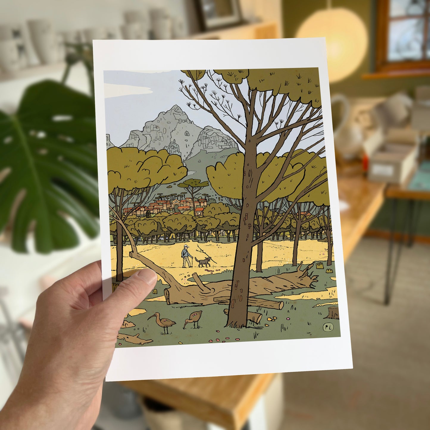 Daily Drawing - Rondebosch Common