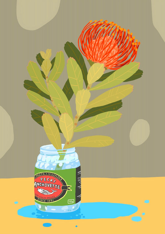 Protea - Anchovette