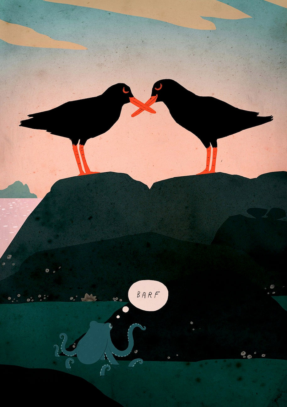Octopus Barf - Lovey Oystercatchers