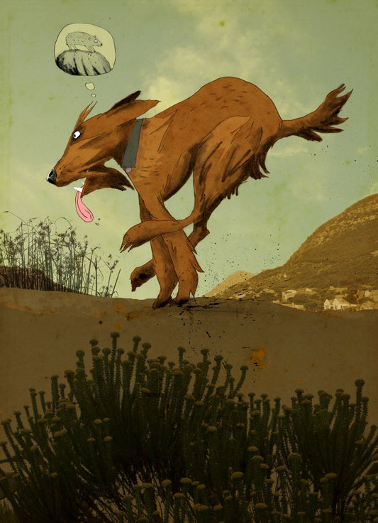 Irish Terrier on the mountain