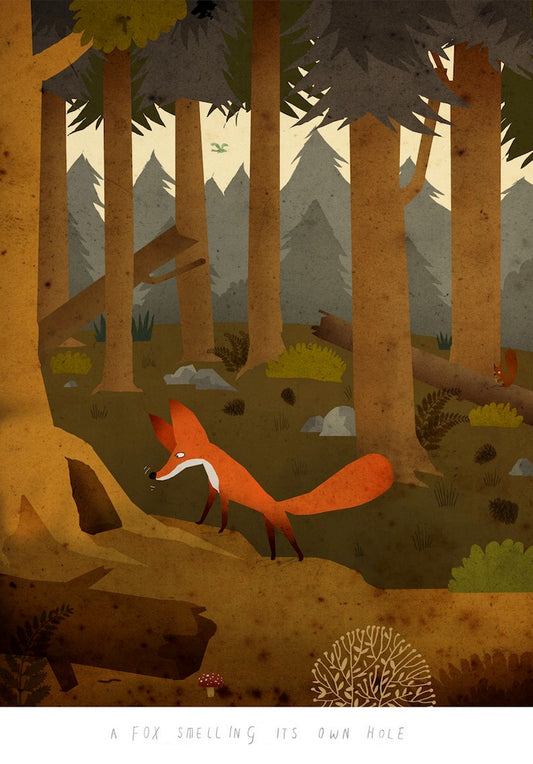 Fox smelling its own hole