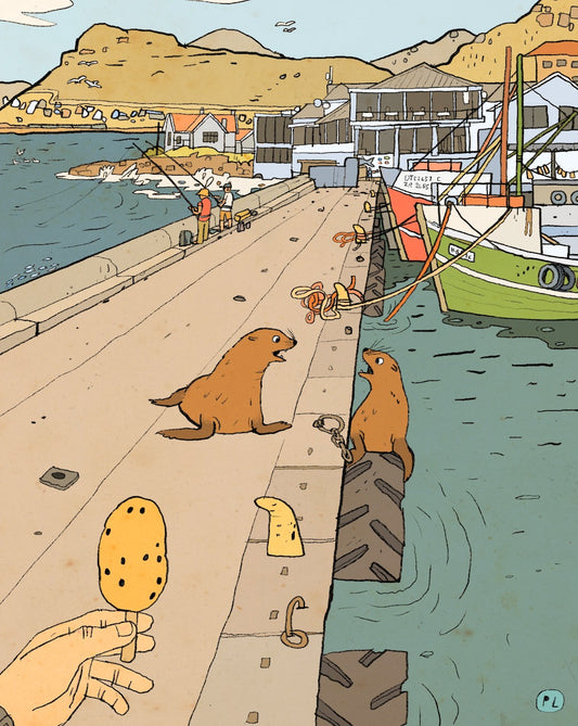 Daily Drawing - Kalk Bay Harbour Seals
