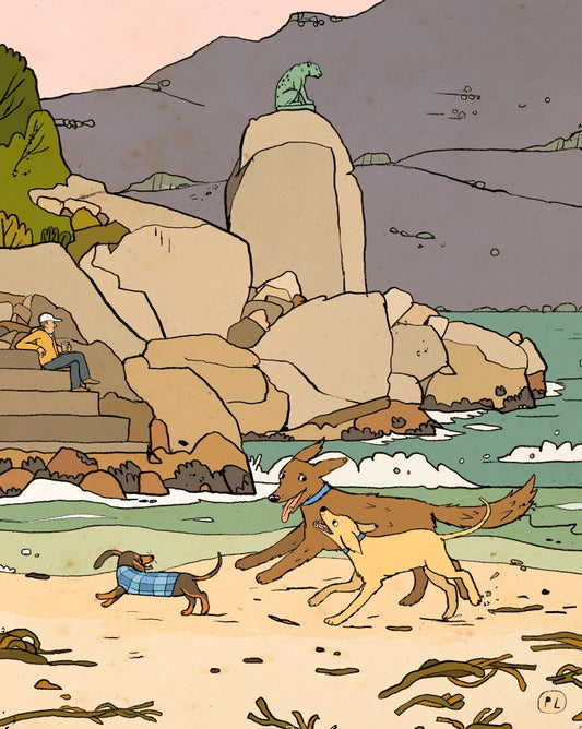 Daily Drawing - Hout Bay Leopard