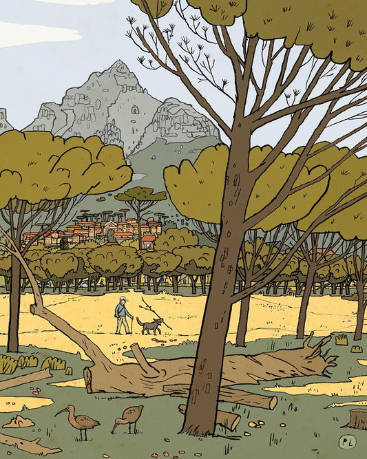 Daily Drawing - Rondebosch Common