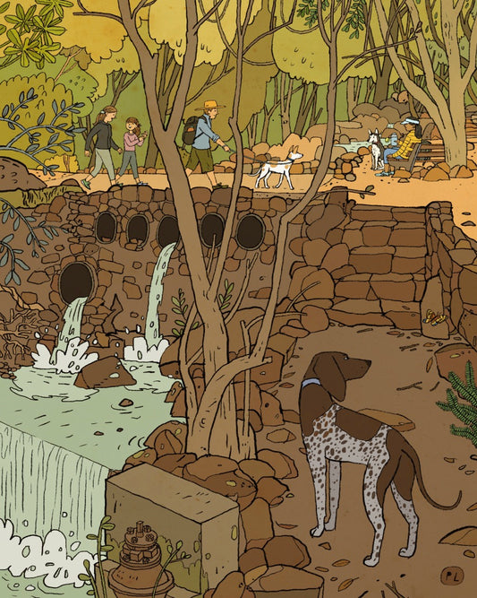 Daily Drawing - Newlands Forest Waterfall