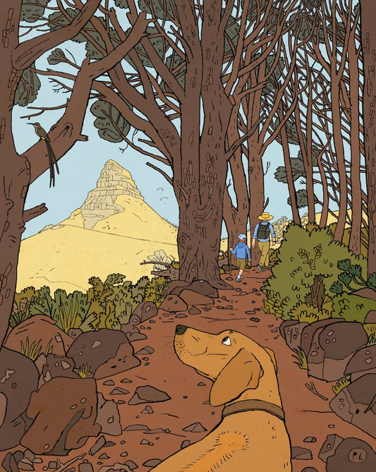 Daily Drawing - Pipe Track