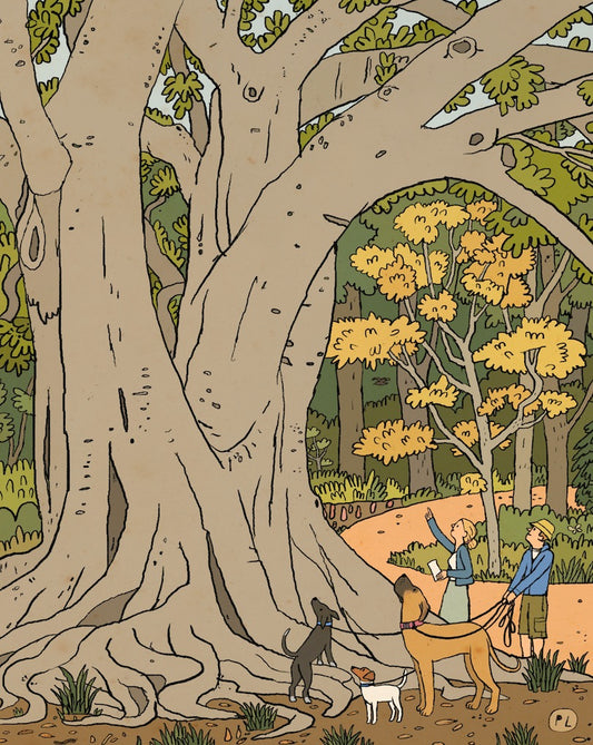 Daily Drawing - Arderne Gardens