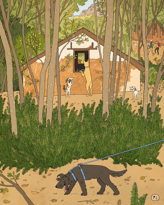 Daily Drawing - Newlands Forest Abandoned Building