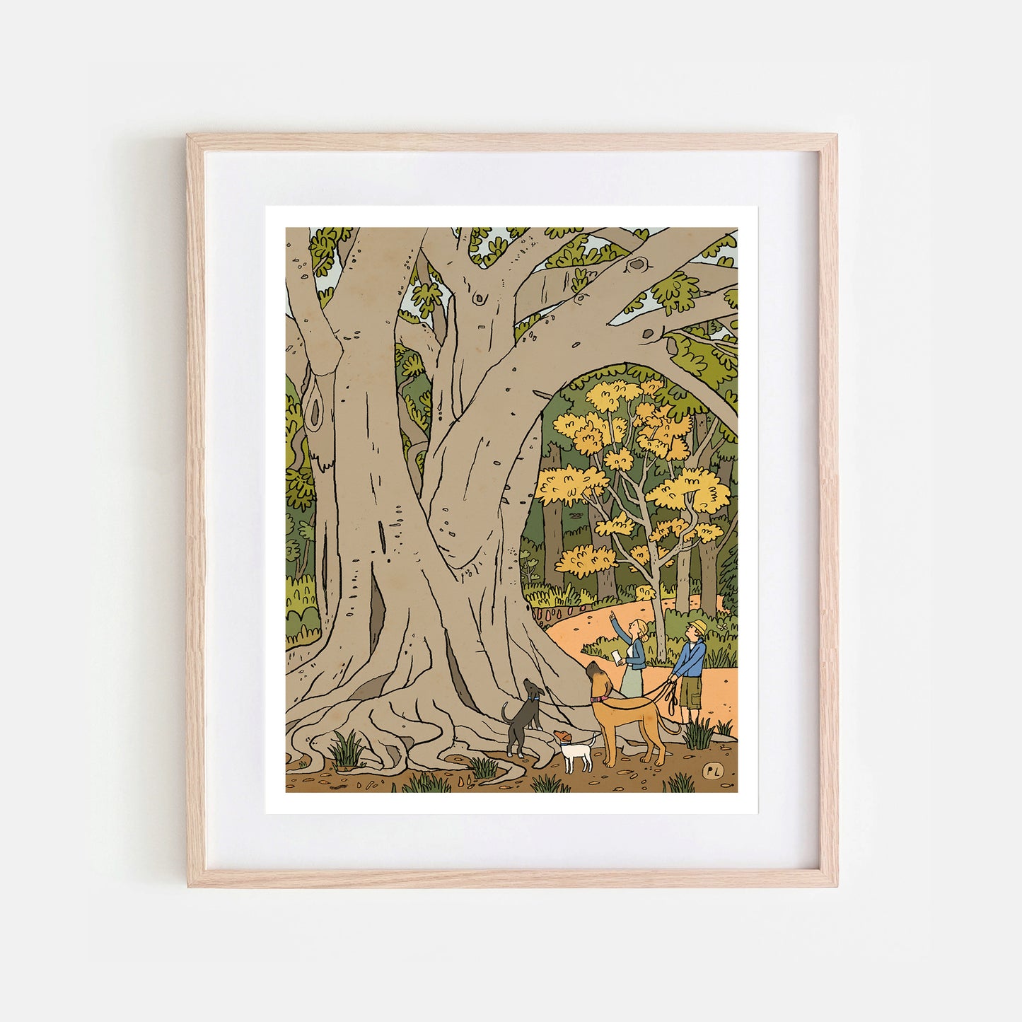 Daily Drawing - Arderne Gardens