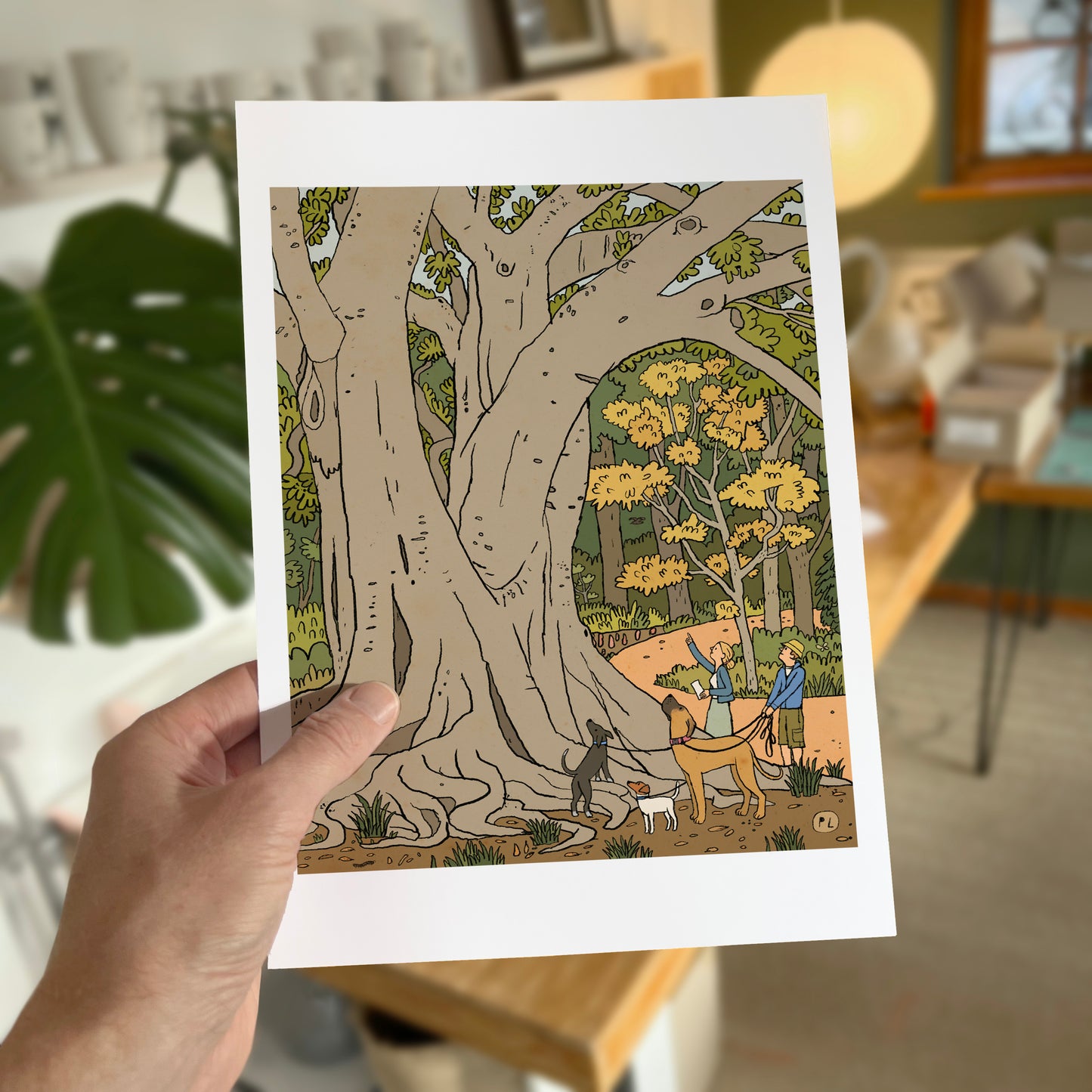 Daily Drawing - Arderne Gardens