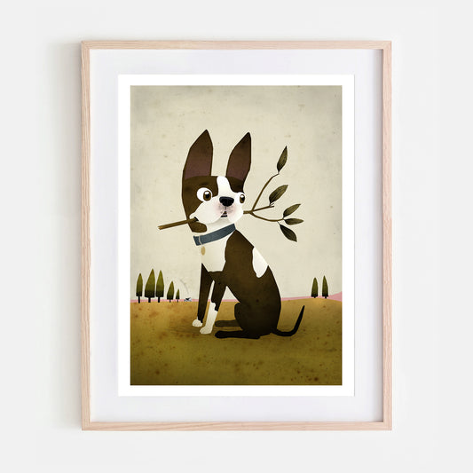 Boston Terrier