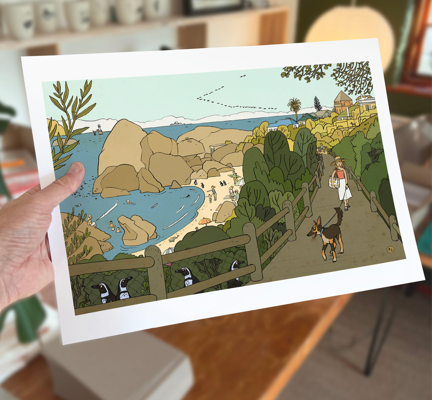 Daily Drawing - Boulders Beach