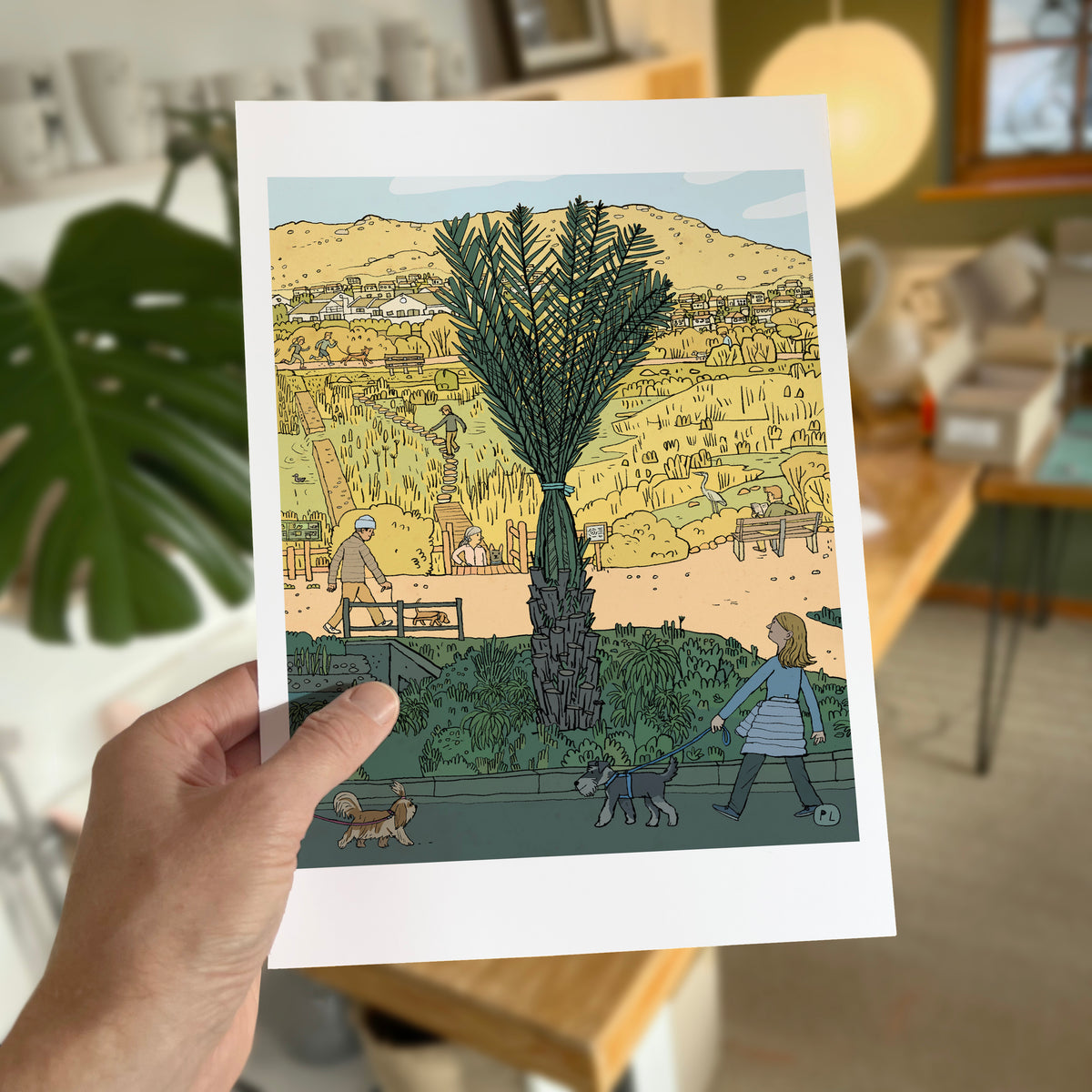 Daily Drawing - Clovelly Palm Tree