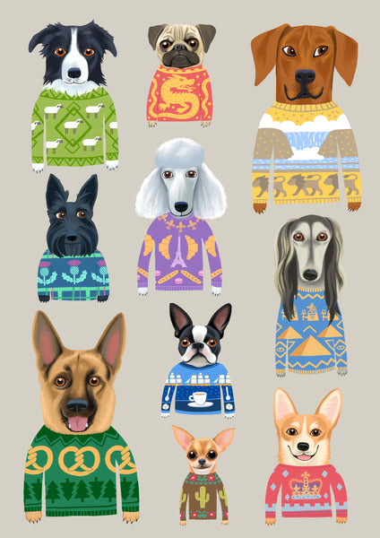 Dog Jumpers