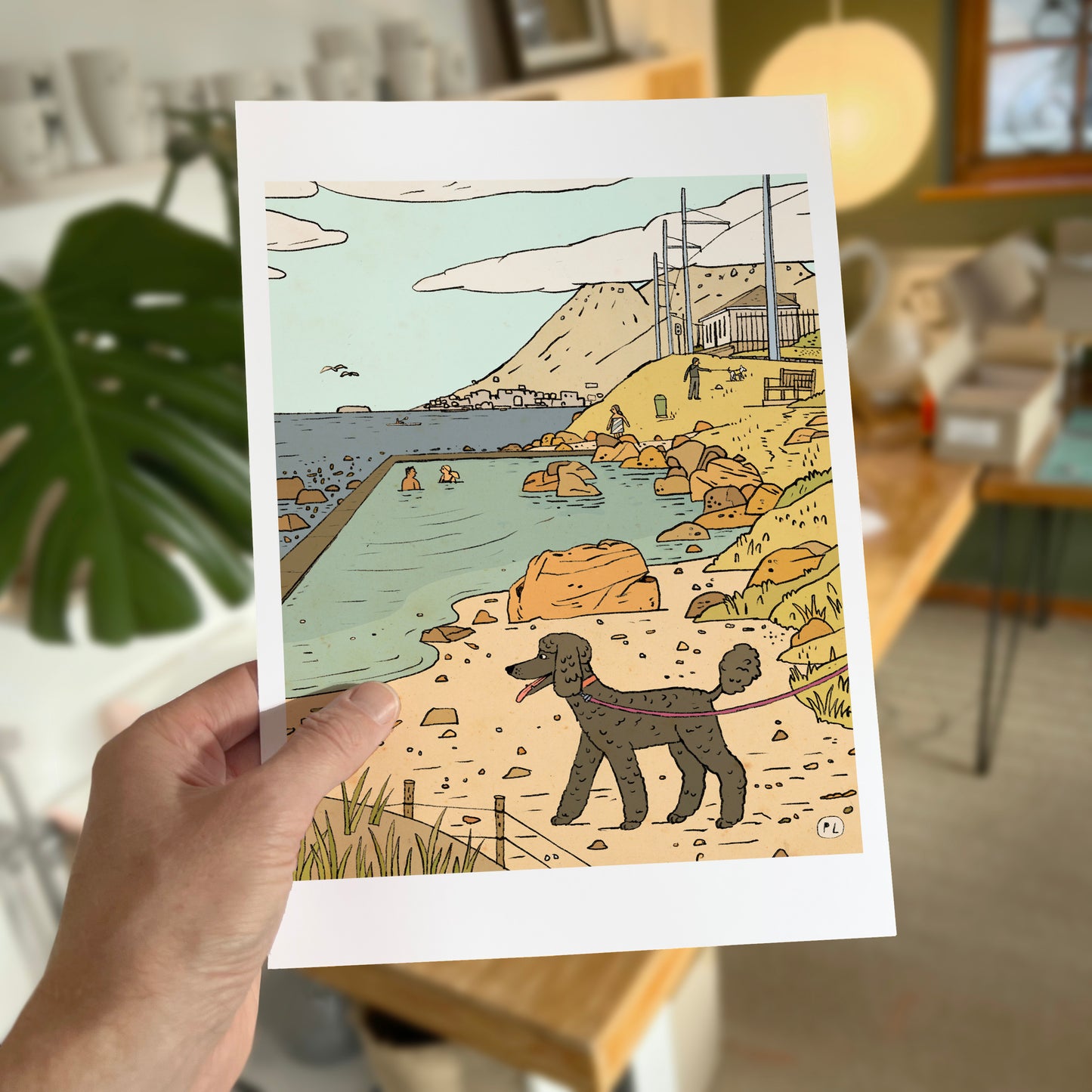 Daily Drawing - Glencairn Tidal Pool