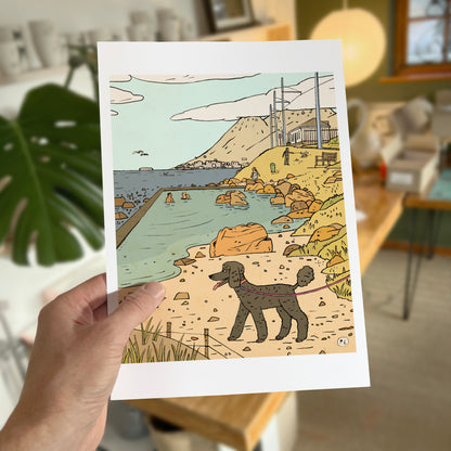 Daily Drawing - Glencairn Tidal Pool