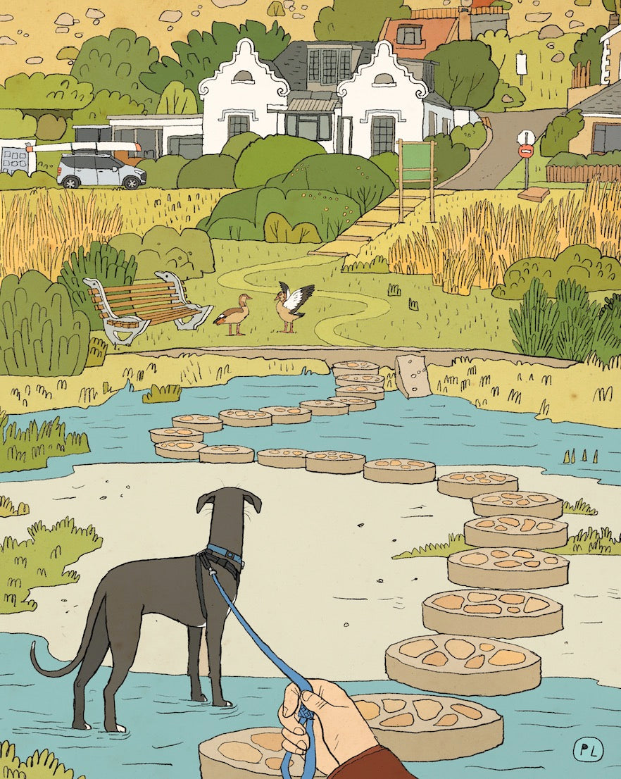 Daily Drawing - Glencairn Vlei