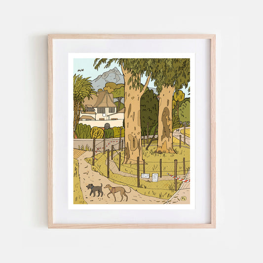 Daily Drawing - Keurboom Owls