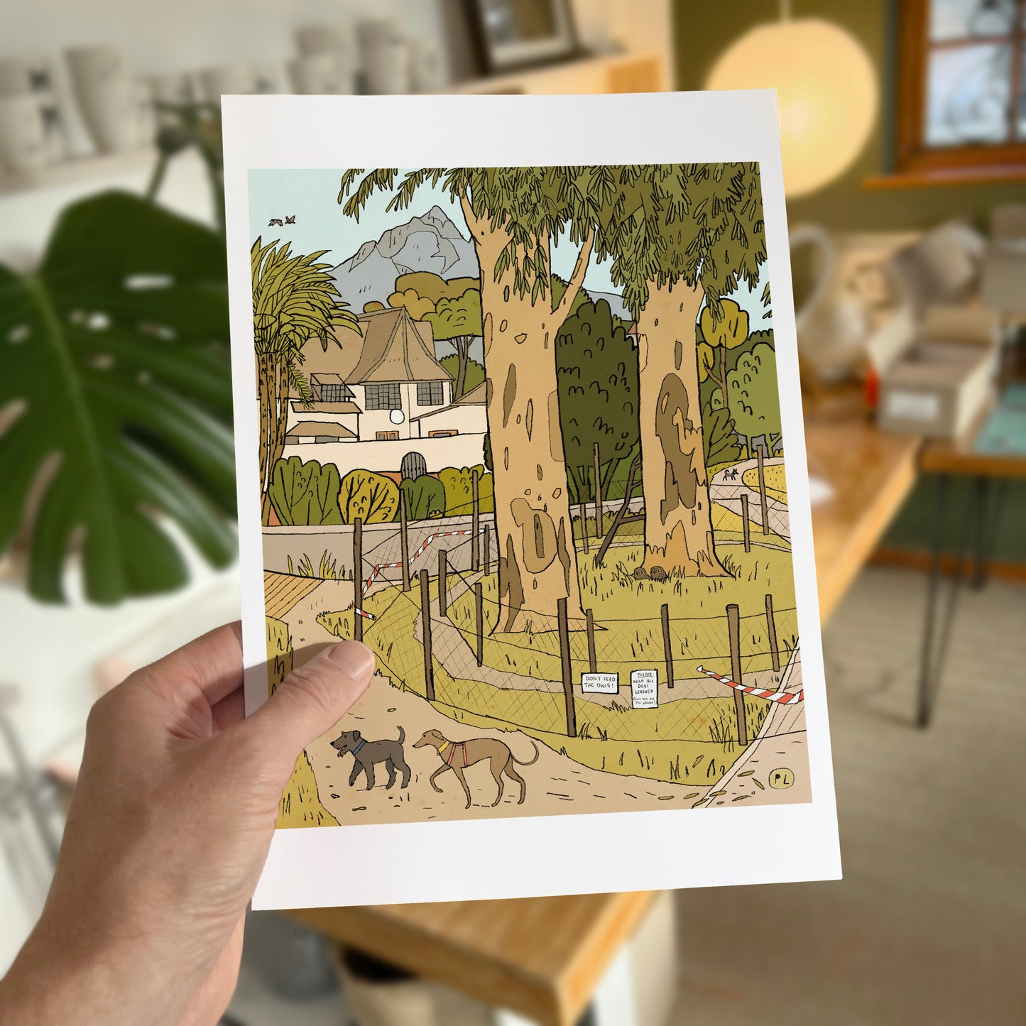 Daily Drawing - Keurboom Owls