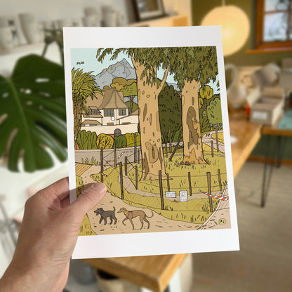 Daily Drawing - Keurboom Owls