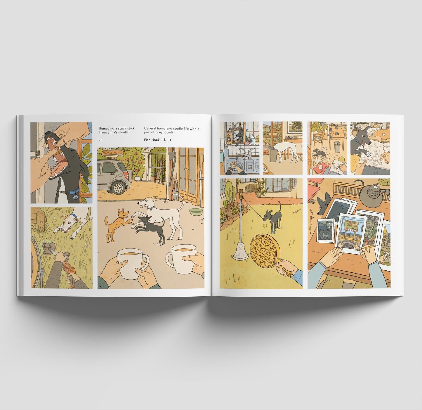 Cape of Good Dogs - Signed Book