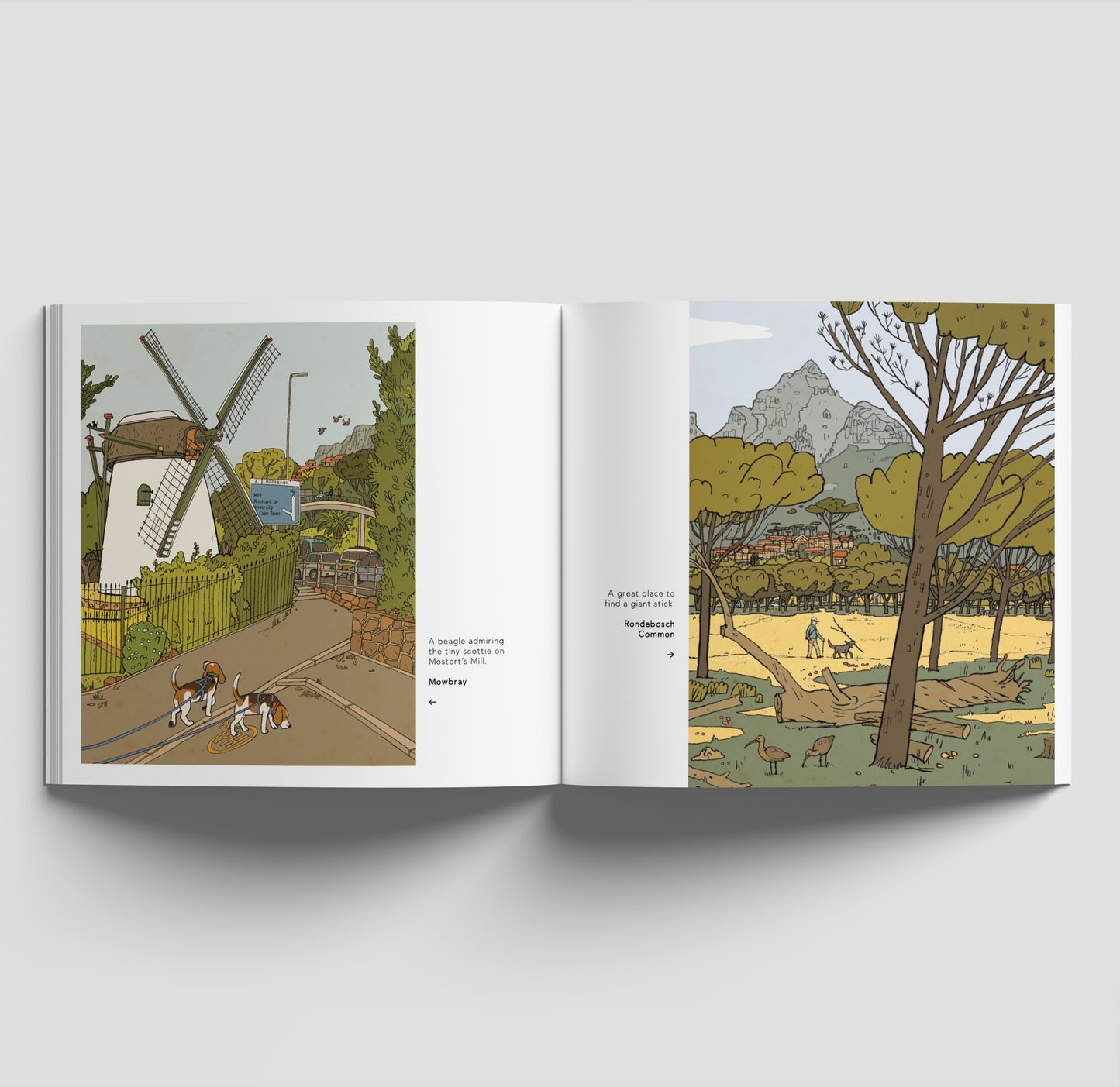 Cape of Good Dogs - Signed Book