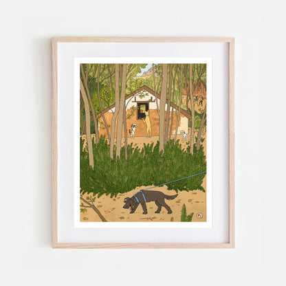 Daily Drawing - Newlands Forest Abandoned Building