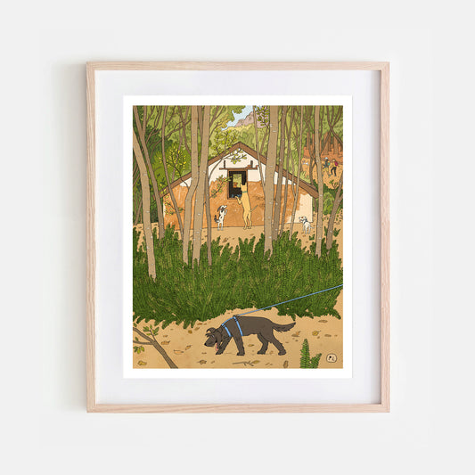Daily Drawing - Newlands Forest Abandoned Building