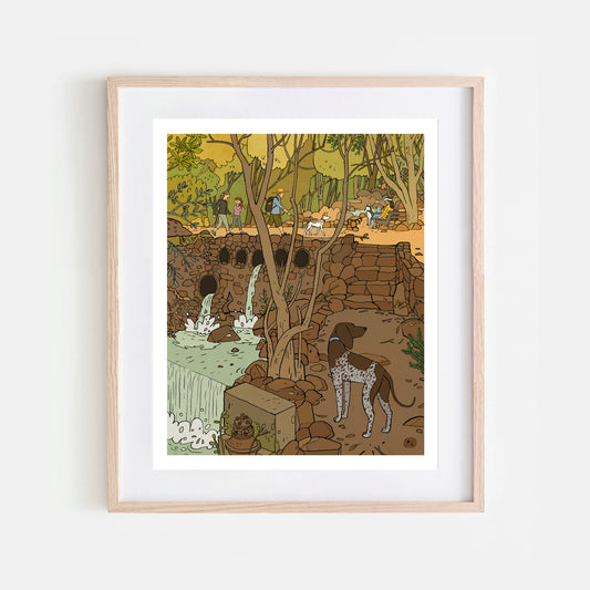 Daily Drawing - Newlands Forest Waterfall