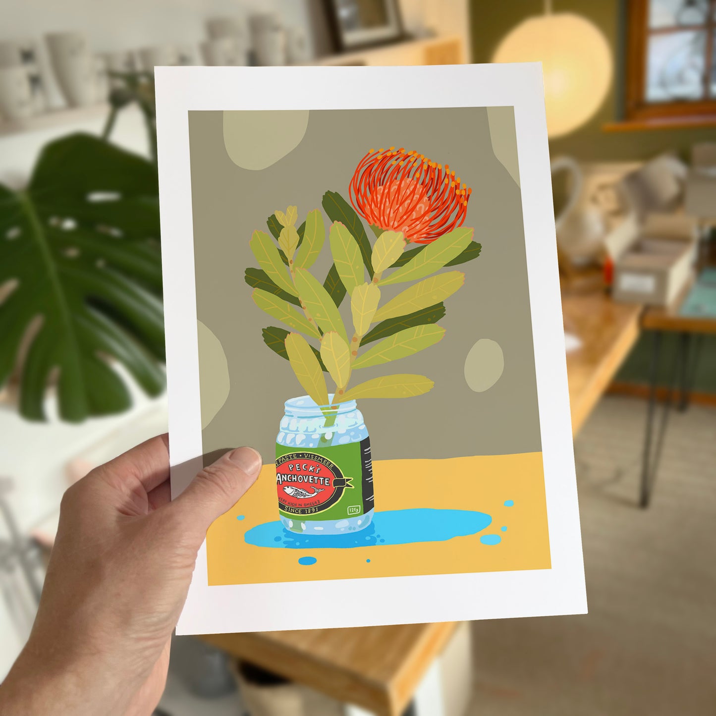 Protea - Anchovette