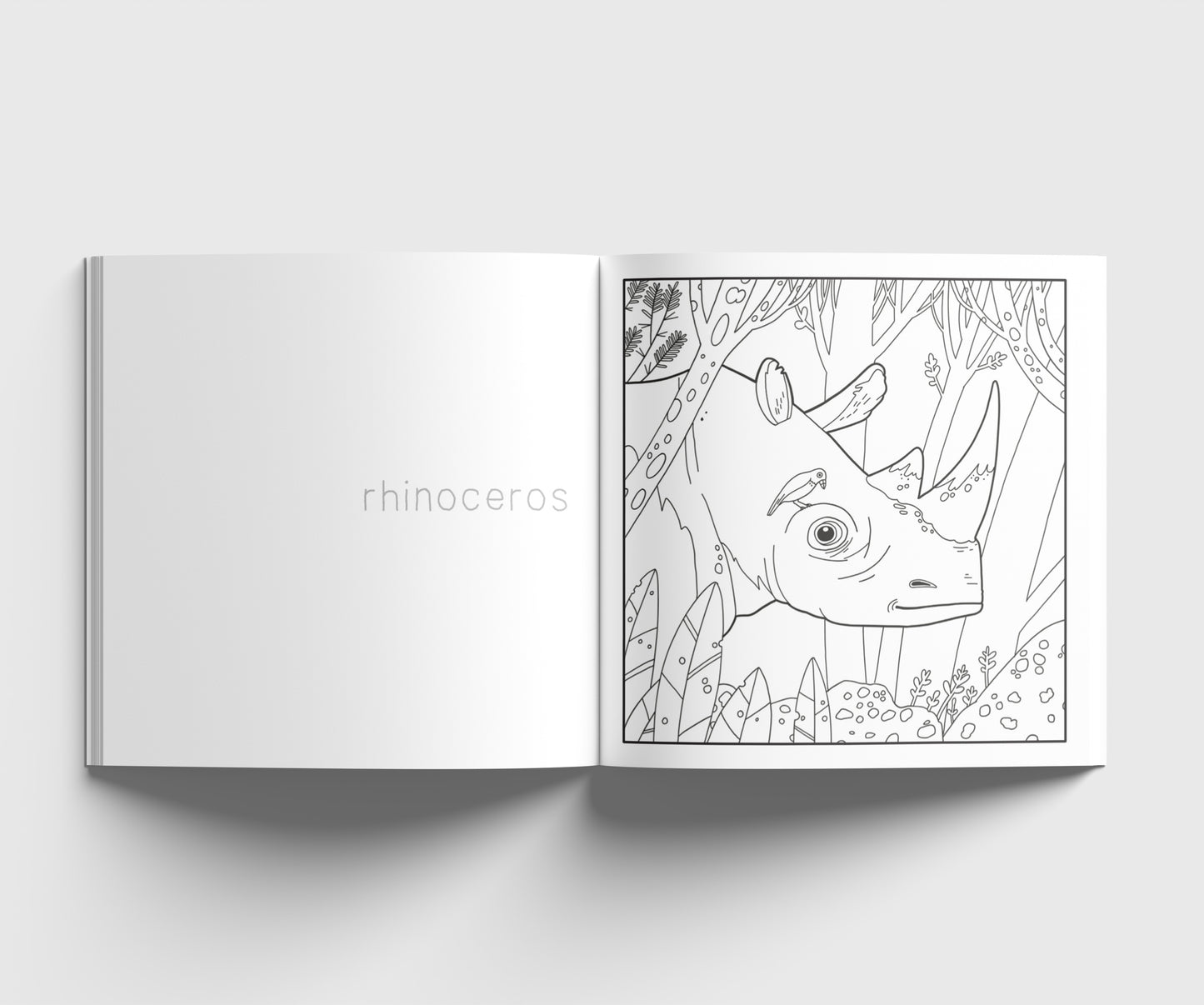 South African Animals Colouring Book