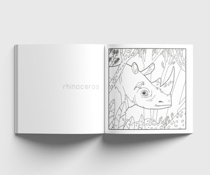 South African Animals Colouring Book