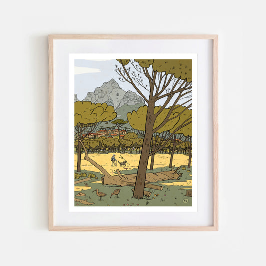 Daily Drawing - Rondebosch Common