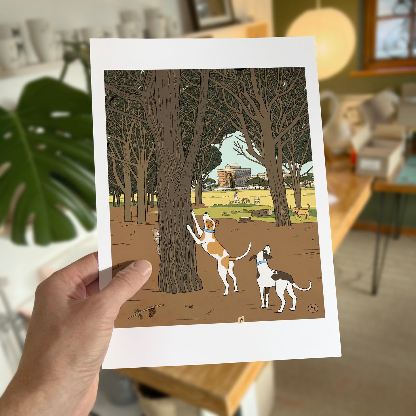 Daily Drawing - Rondebosch Common Squirrel