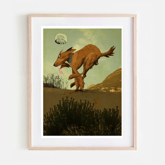 Irish Terrier on the mountain