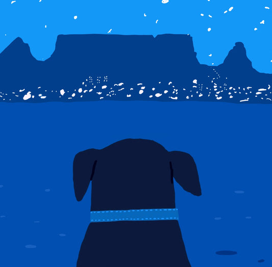 Night dog