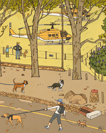 Daily Drawing - Newlands Forest Helicopters