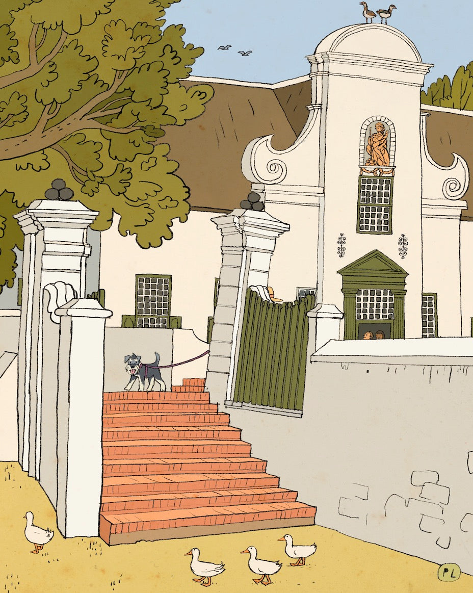 Daily Drawing - Groot Constantia Ducks