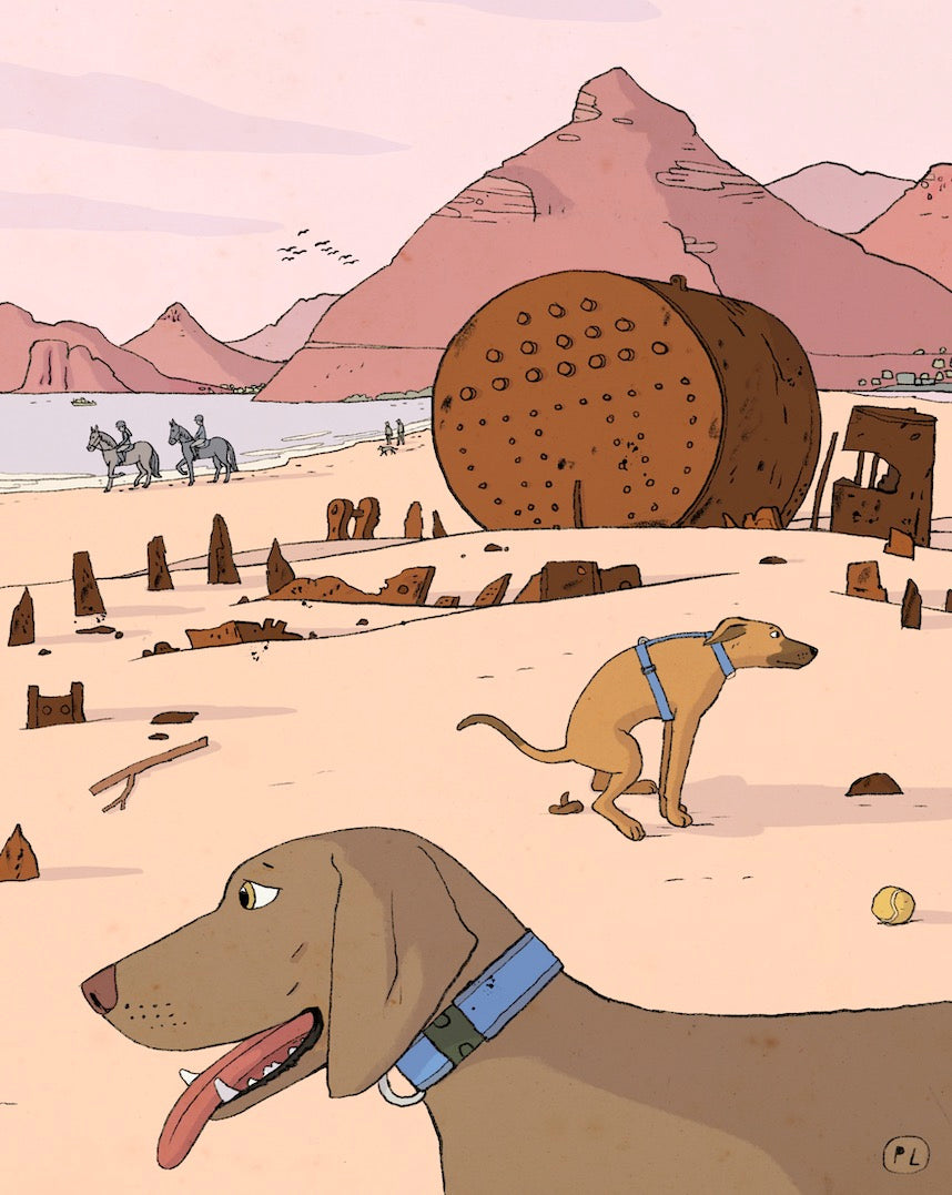 Daily Drawing - Kakapo