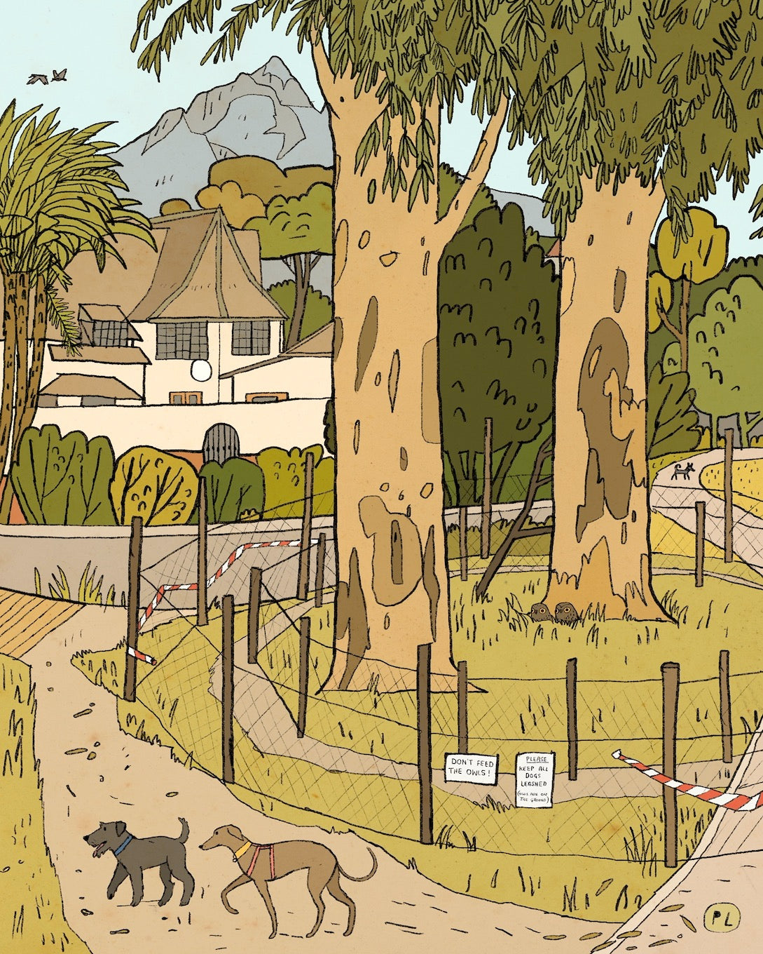 Daily Drawing - Keurboom Owls