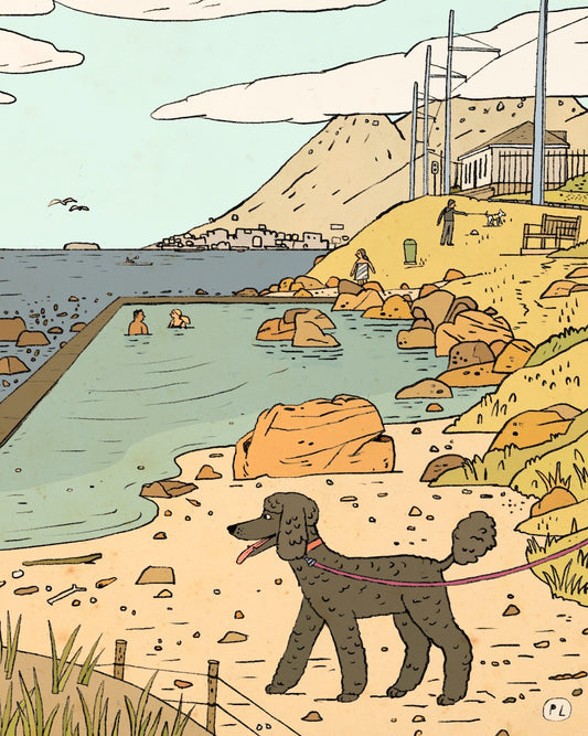 Daily Drawing - Glencairn Tidal Pool