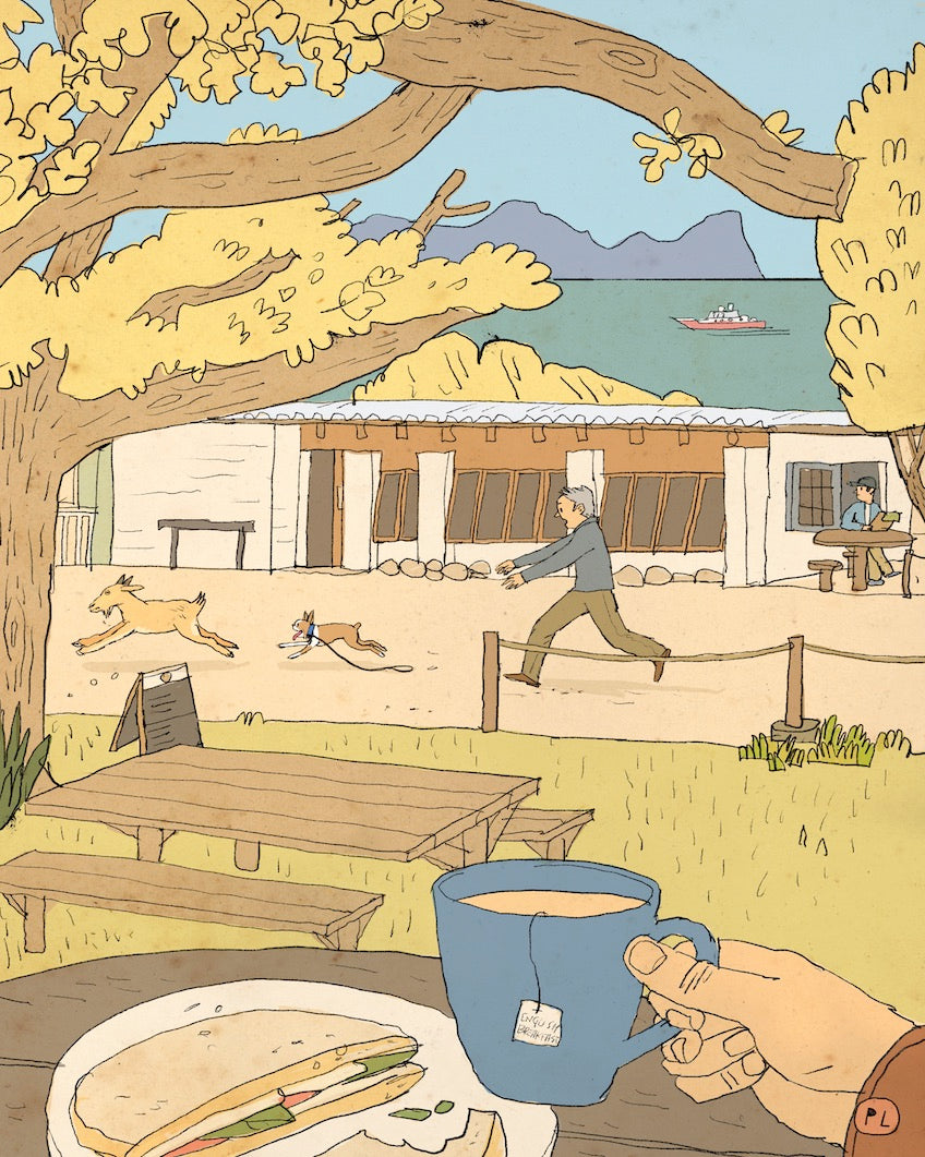Daily Drawing - Barefoot Cafe