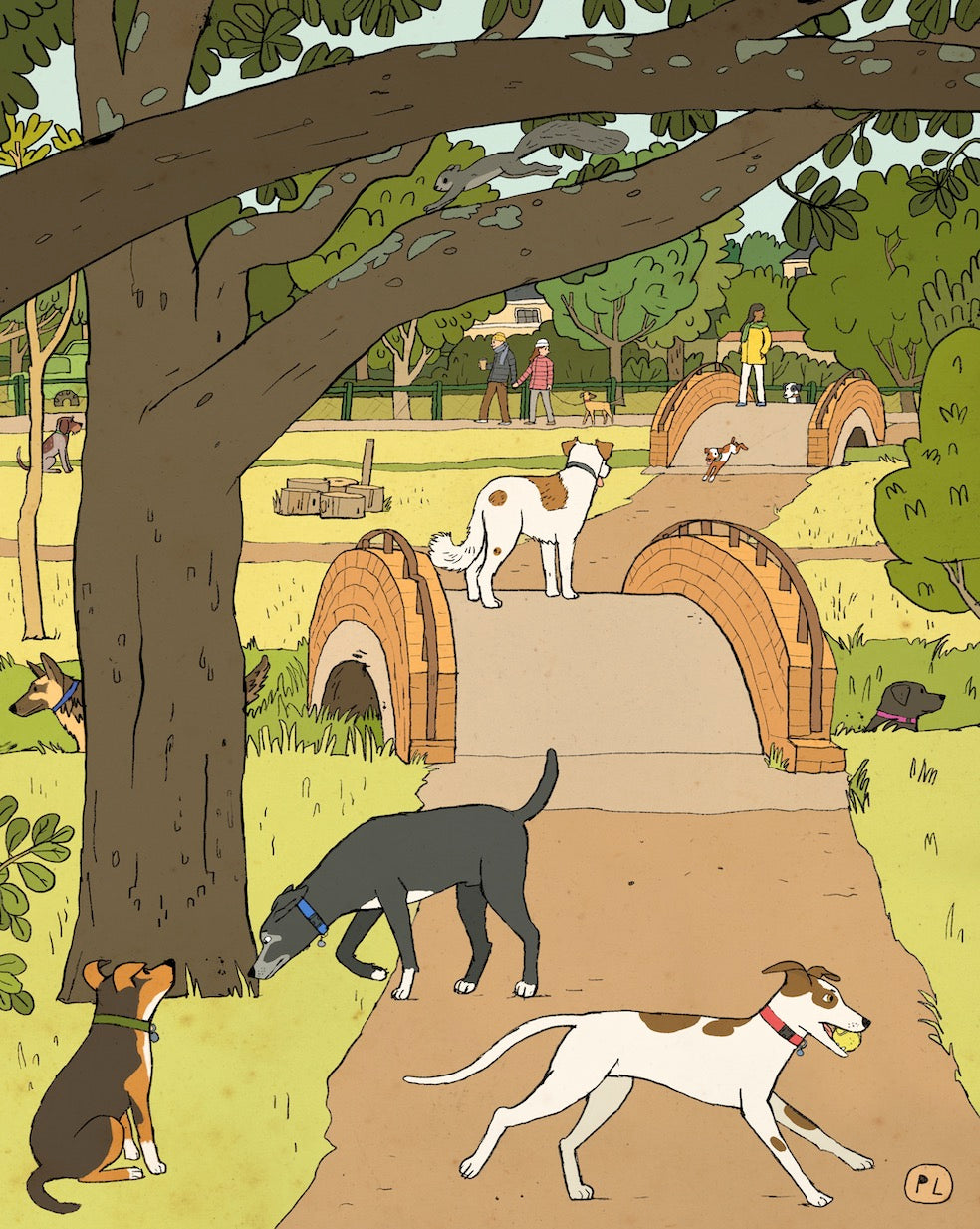 Daily Drawing - Keurboom Park Bridges