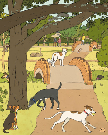 Daily Drawing - Keurboom Park Bridges